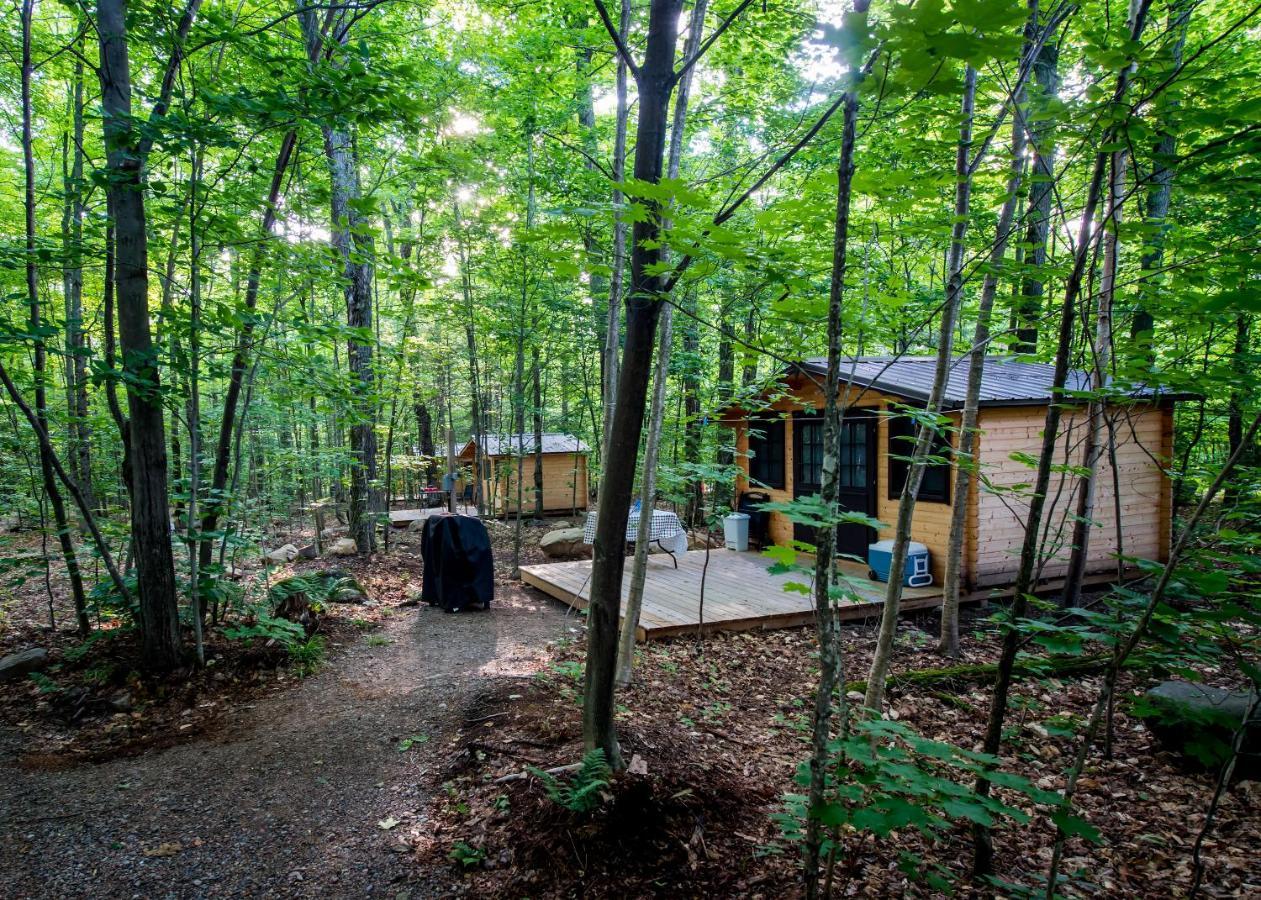 Madawaska Lodge-Cottage Exterior foto